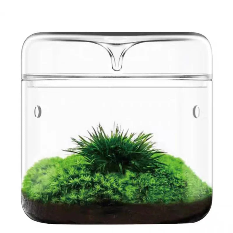 Micro Landscape Glass Bottles Creativity Dew Collection Glass Vase