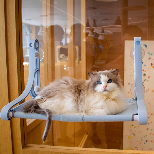 Cat Resting Shelf Cat Window Hammock for Cats Suction Cups Extra