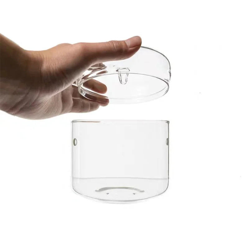 Micro Landscape Glass Bottles Creativity Dew Collection Glass Vase