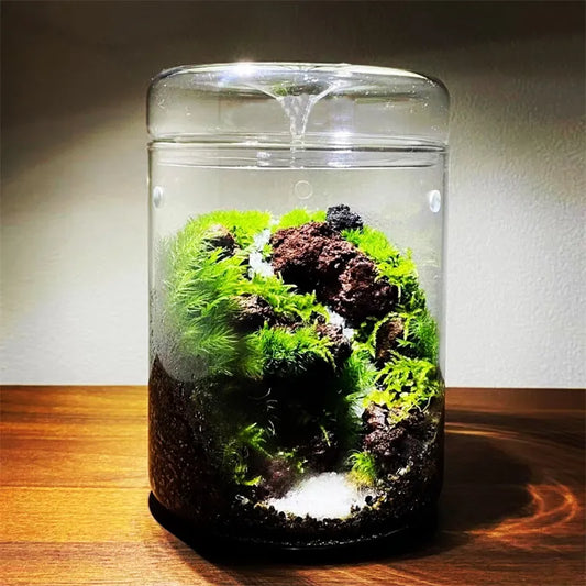 Micro Landscape Glass Bottles Creativity Dew Collection Glass Vase