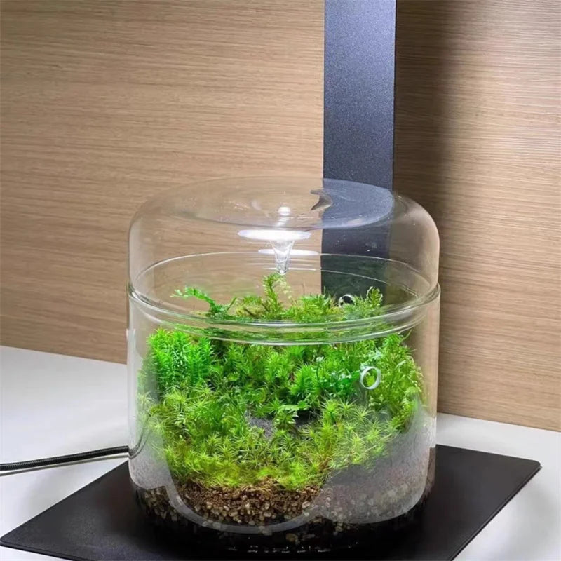 Micro Landscape Glass Bottles Creativity Dew Collection Glass Vase